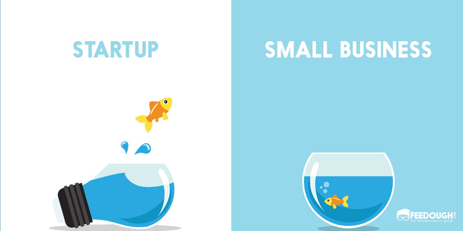 Difference Between Startup and Business